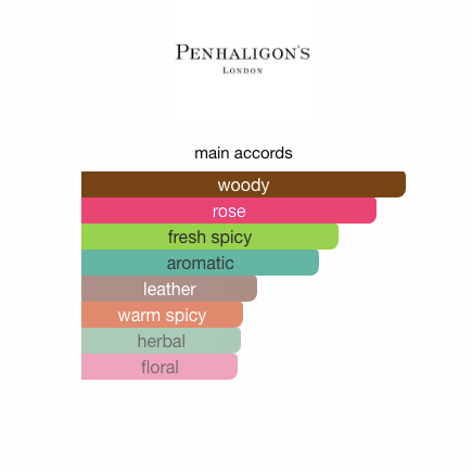 Much Ado About The Duke (Men)