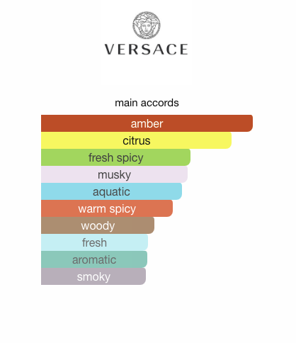 Versace Pour Homme Dylan Blue (Men)
