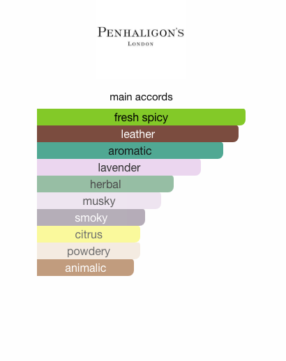 Endymion Concentré (Unisex)