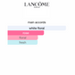 Absolue 6AM Rose (Women)