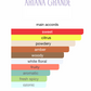 Pressed Petals by Ariana Grande (Women)