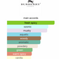 Burberry Touch for Men