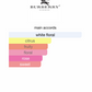 Burberry London (Women)